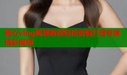 糖心vlog狐狸教你轻松剪辑打造专属精彩视频