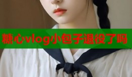 糖心vlog小包子退役了吗