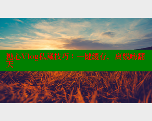 糖心Vlog私藏技巧：一键缓存，离线嗨翻天