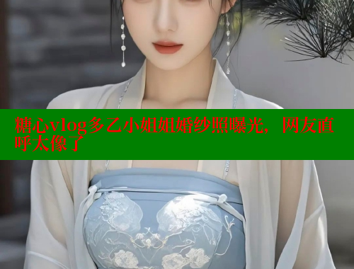 糖心vlog多乙小姐姐婚纱照曝光，网友直呼太像了